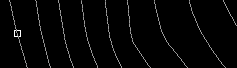 AE Animation
